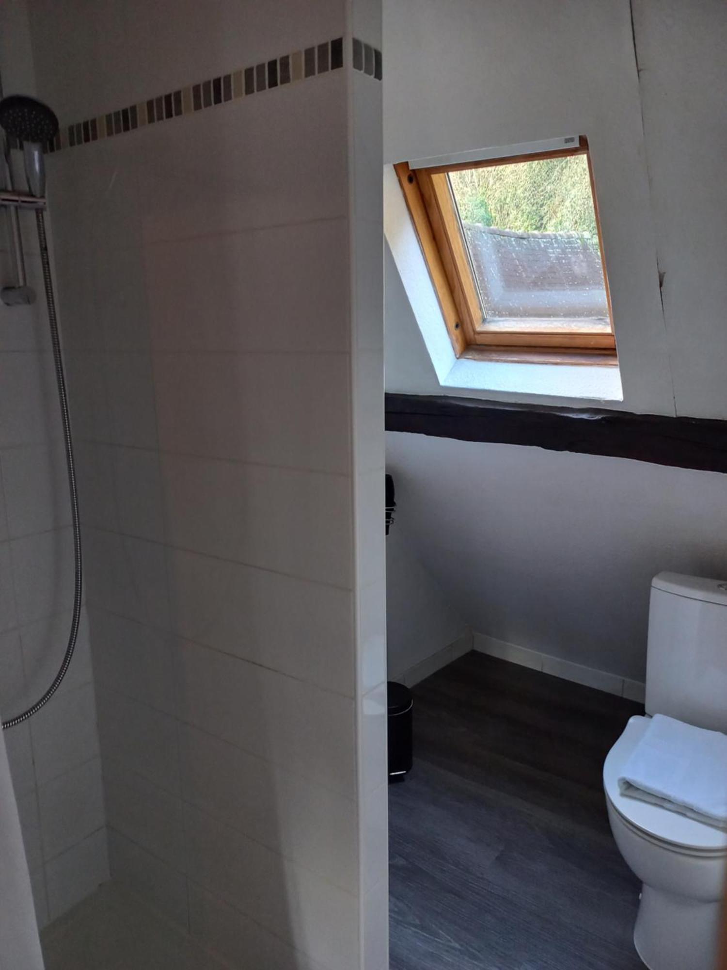 Le Poisson Ivre Bed & Breakfast Dinan Dış mekan fotoğraf